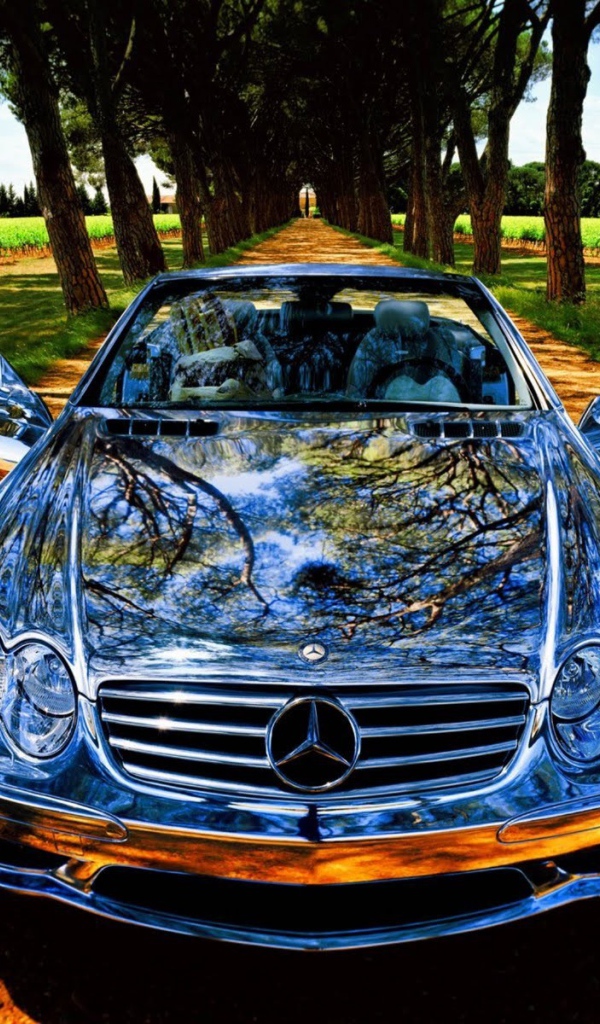 Блестящий спортивный Мерседес на аллее