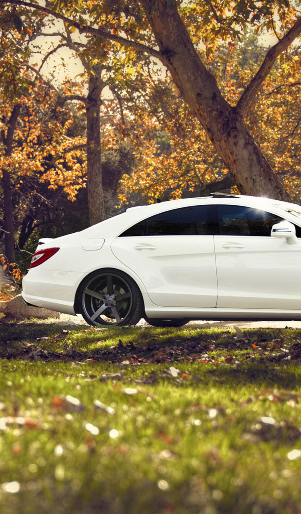 Белый мерседес на природе