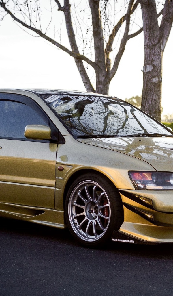 Золотой Mitsubishi Lancer Evo X