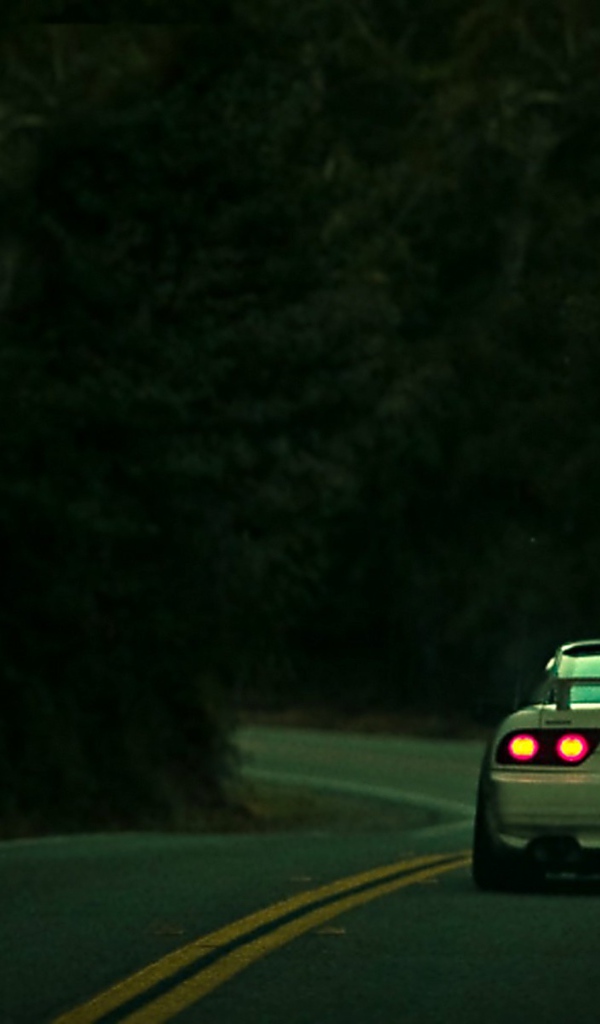 Nissan стоит на шоссе в лесу