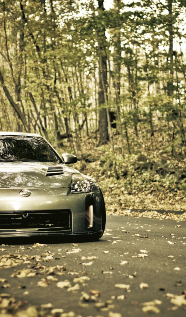 Серебристый Nissan 350Z в лесу