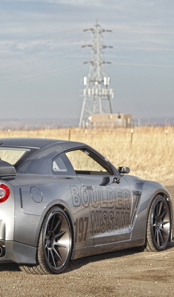 Серебристый спортивный Nissan GT-R на фоне поля