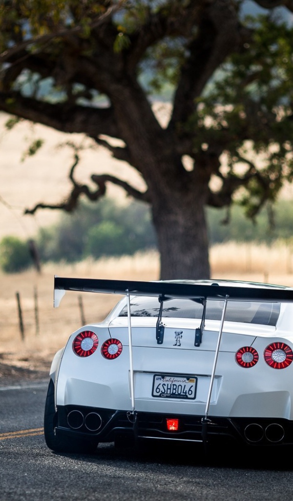 Белый Nissan GT-R на загородном шоссе