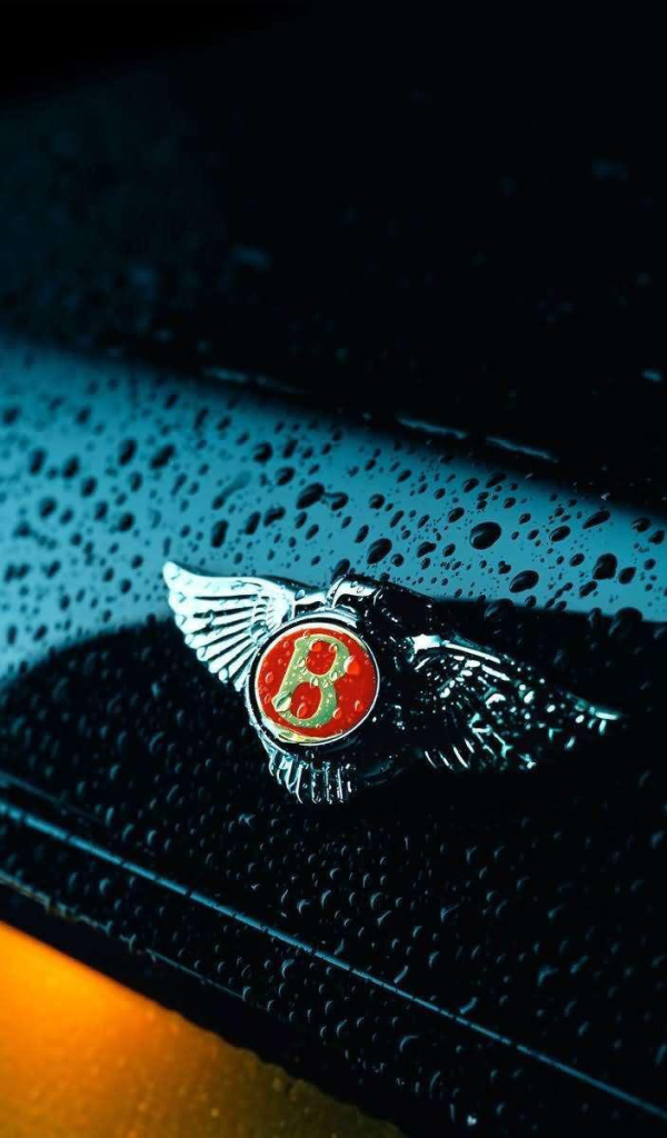 Знак на мокром автомобиле