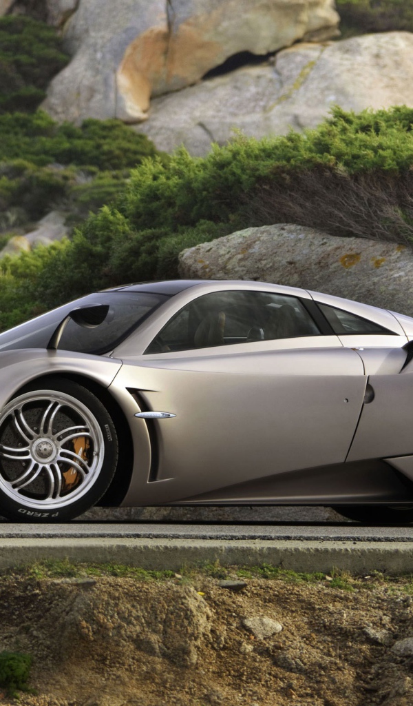 Серый Pagani на фоне камней