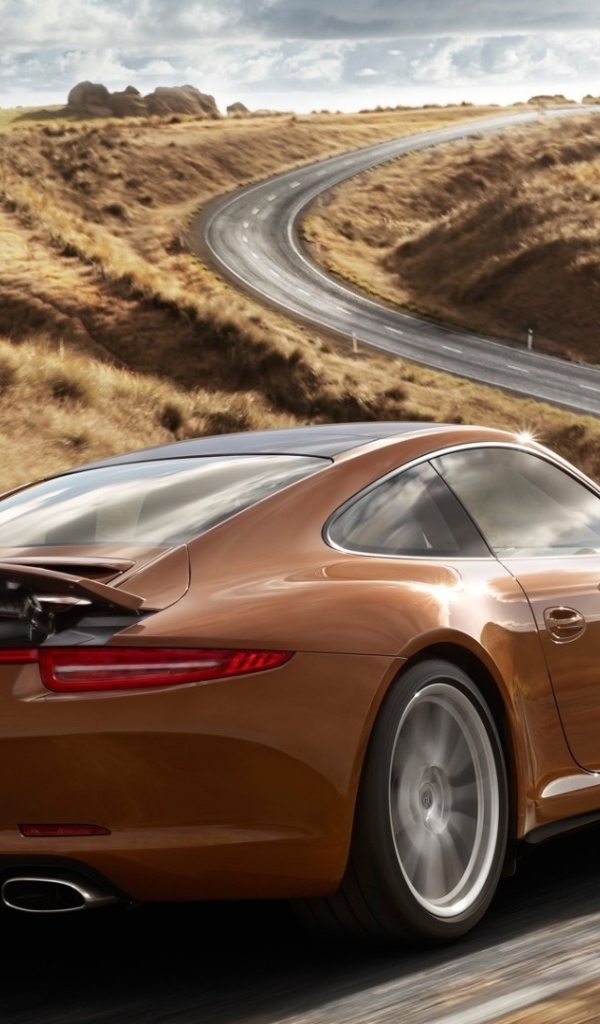 Коричневый Порше на шоссе за городом