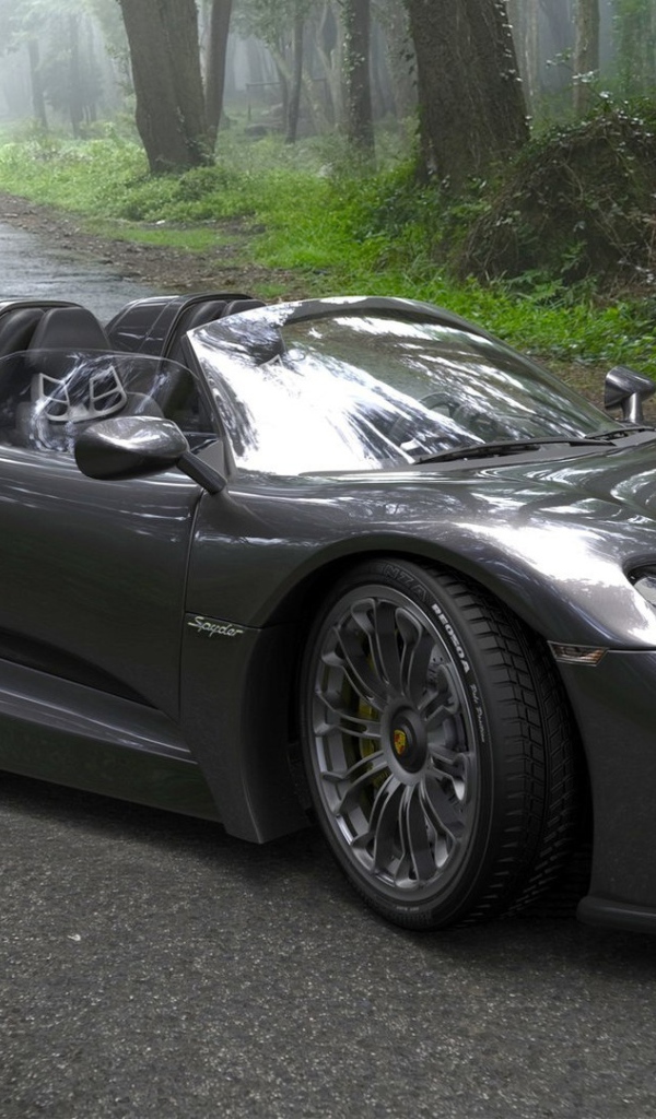 Двухместный автомобиль Porsche 918 Spyder