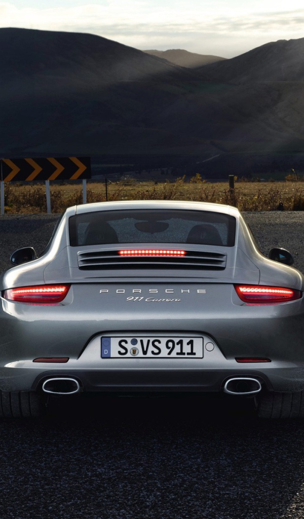 Порше на развилке дорог