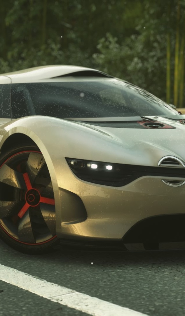 Автомобиль Renault Alpine в игре