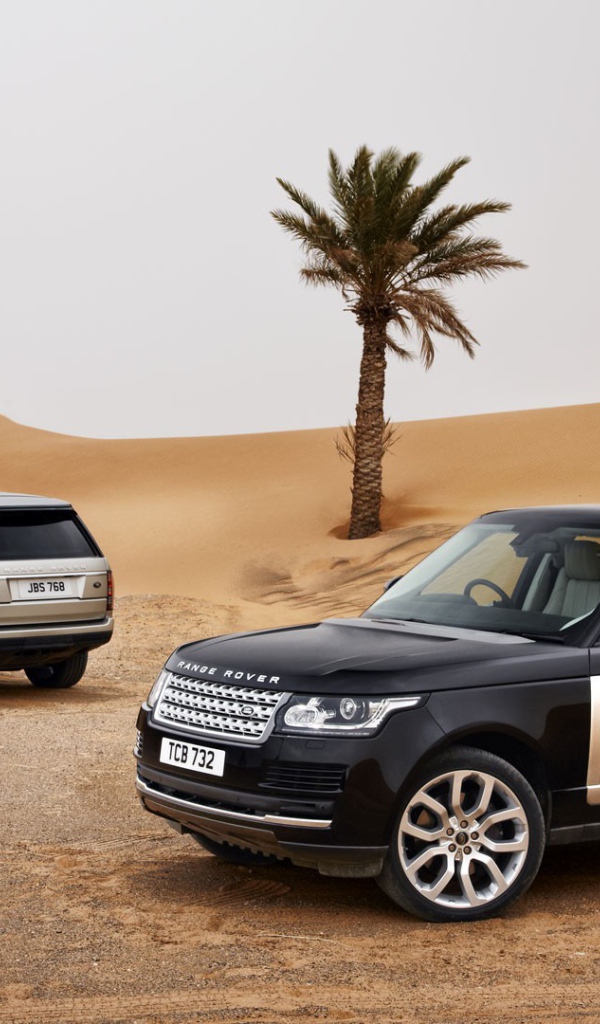 Black Range Rover in the desert