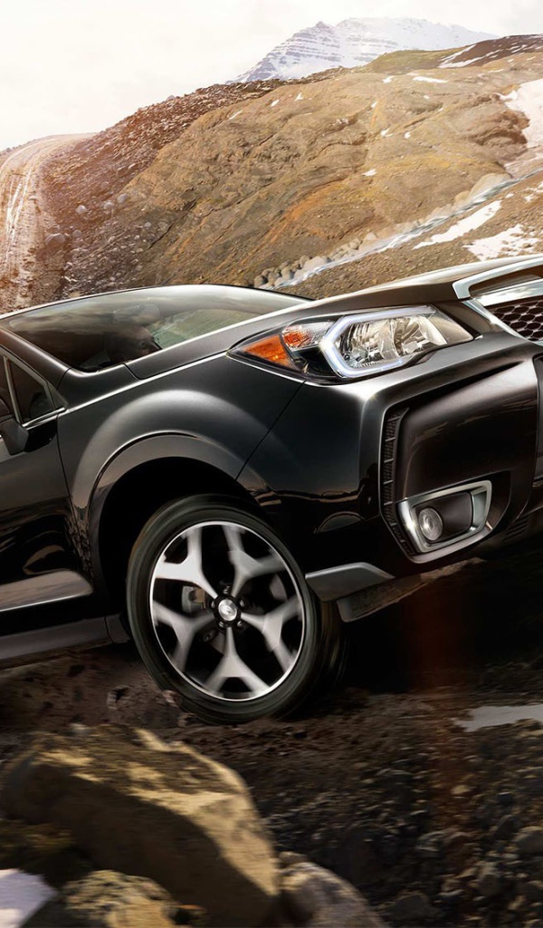Авто выской проходимости Subaru Forester