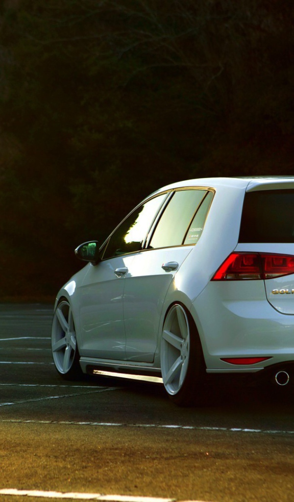 Семейный автомобиль Volkswagen golf 7