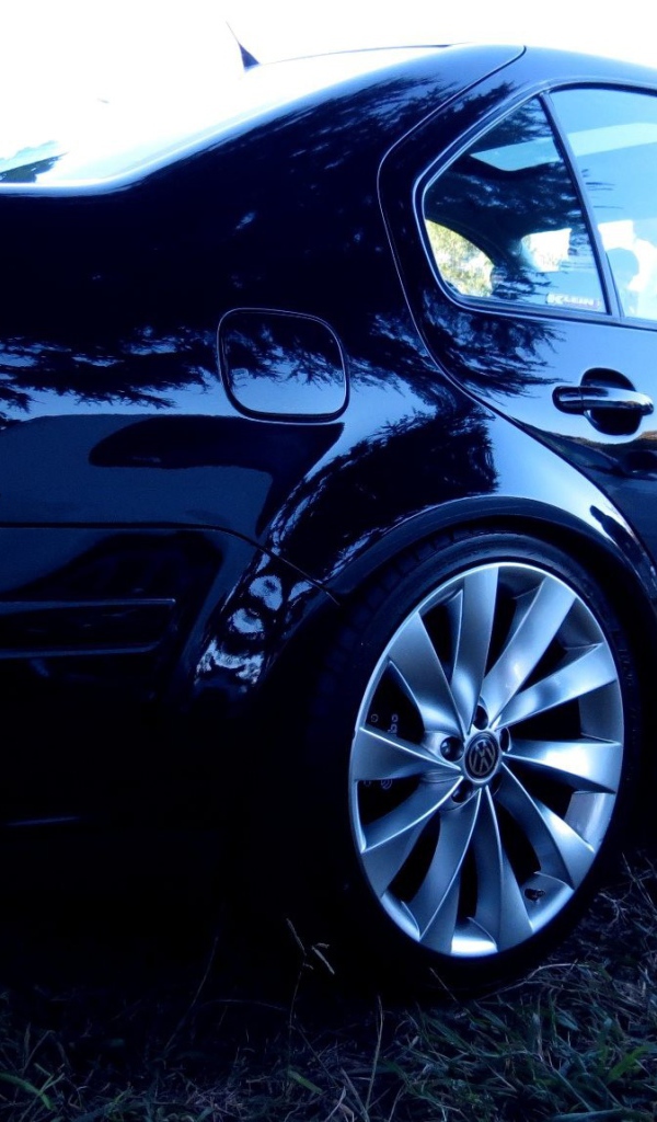 Корпус черного Volkswagen Bora