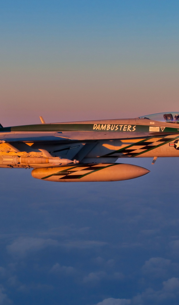 Самолет ФА-18Е