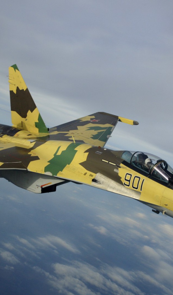 Самолет с маскировочным окрасом