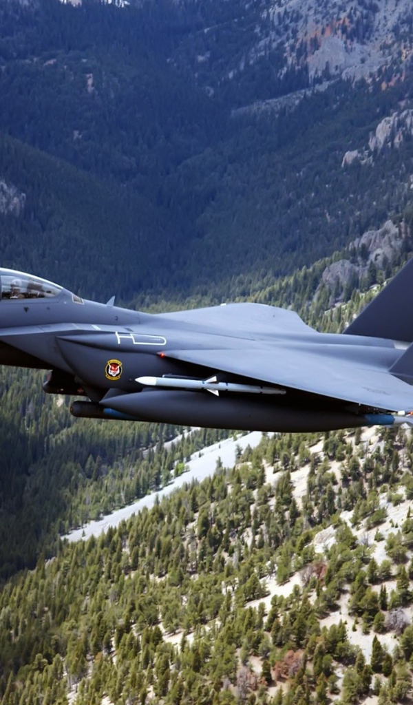 Истребитель F-15 Eagle над горным лесом