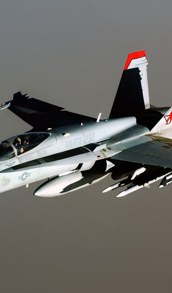 Истребитель F-18 Hornet на сером фоне