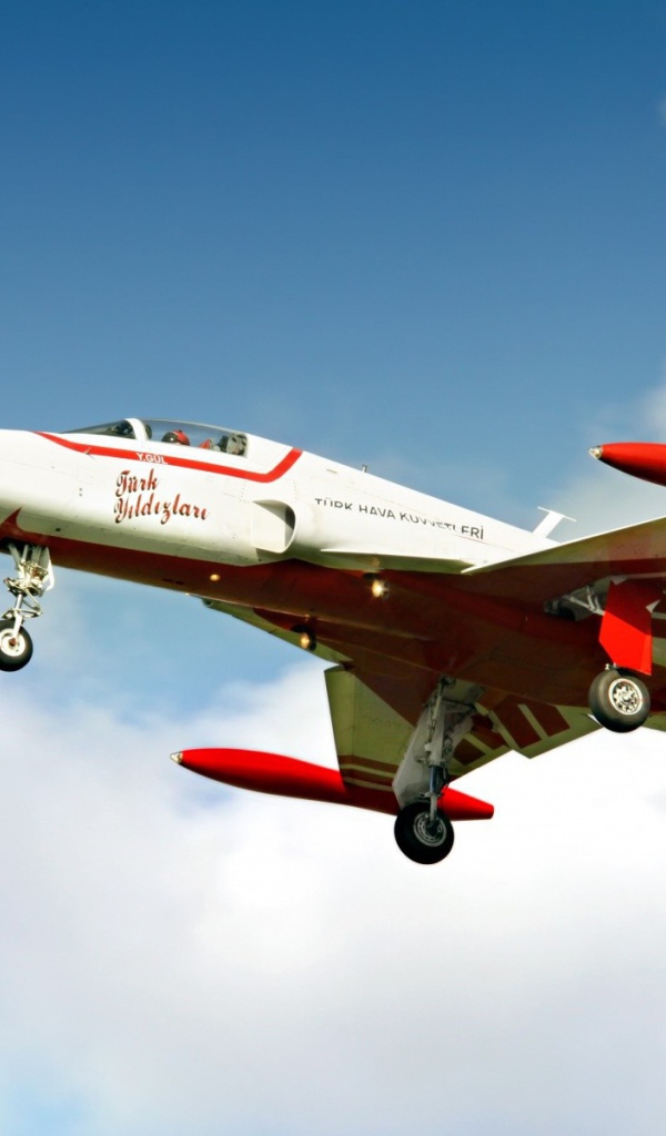 Истребитель турецких ВВС