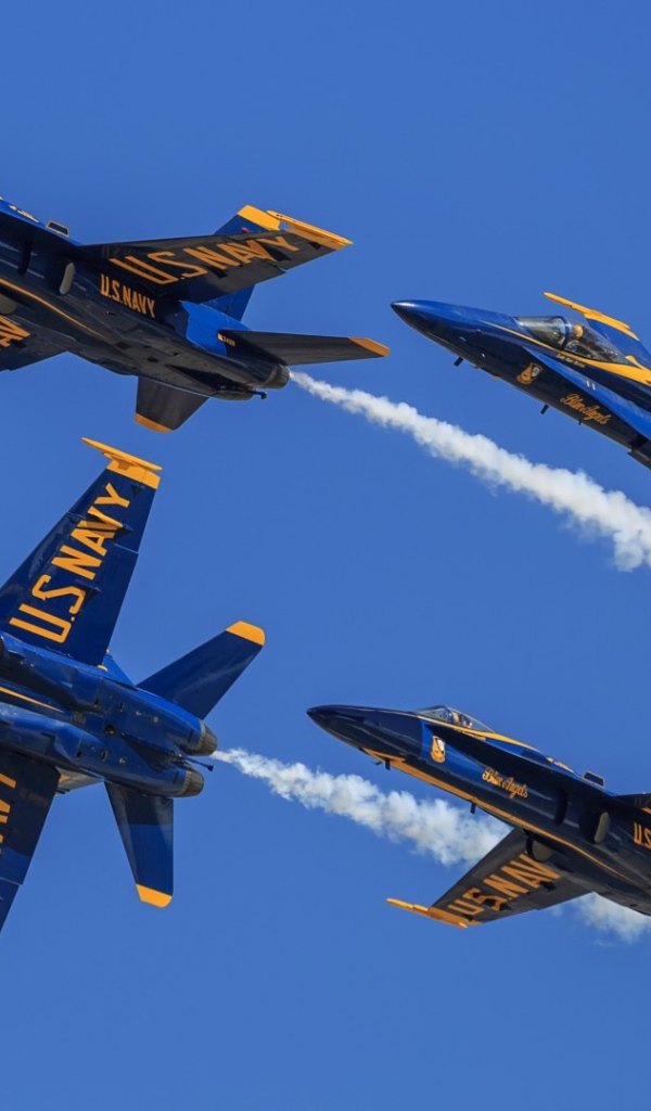 Истребители F-18 Голубые ангелы