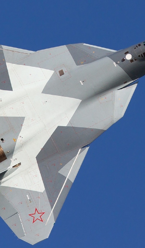 Военный самолет T-50 на фоне неба