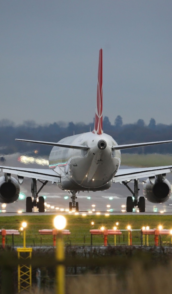 Пассажирский самолет сел в аэропорту
