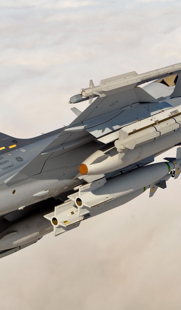 Самолет JAS-39 Gripen, Швеция