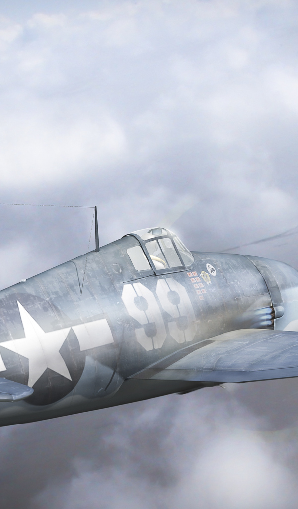 Самолет в воздушном бою