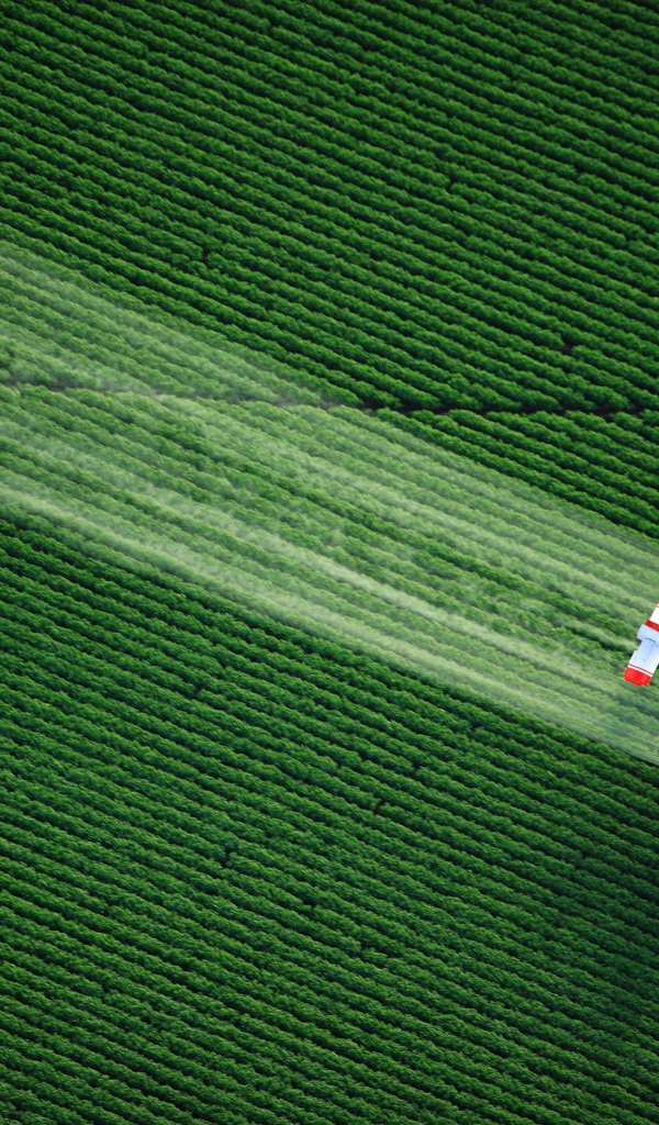 Самолет распыляет удобрения над полем