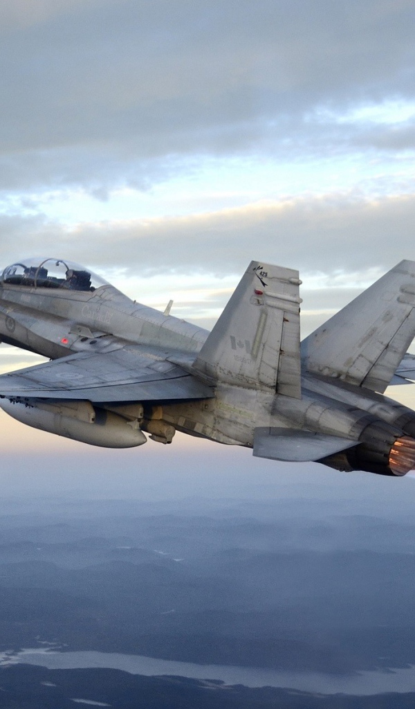Реактивный самолет McDonnell Douglas CF-18 Hornet