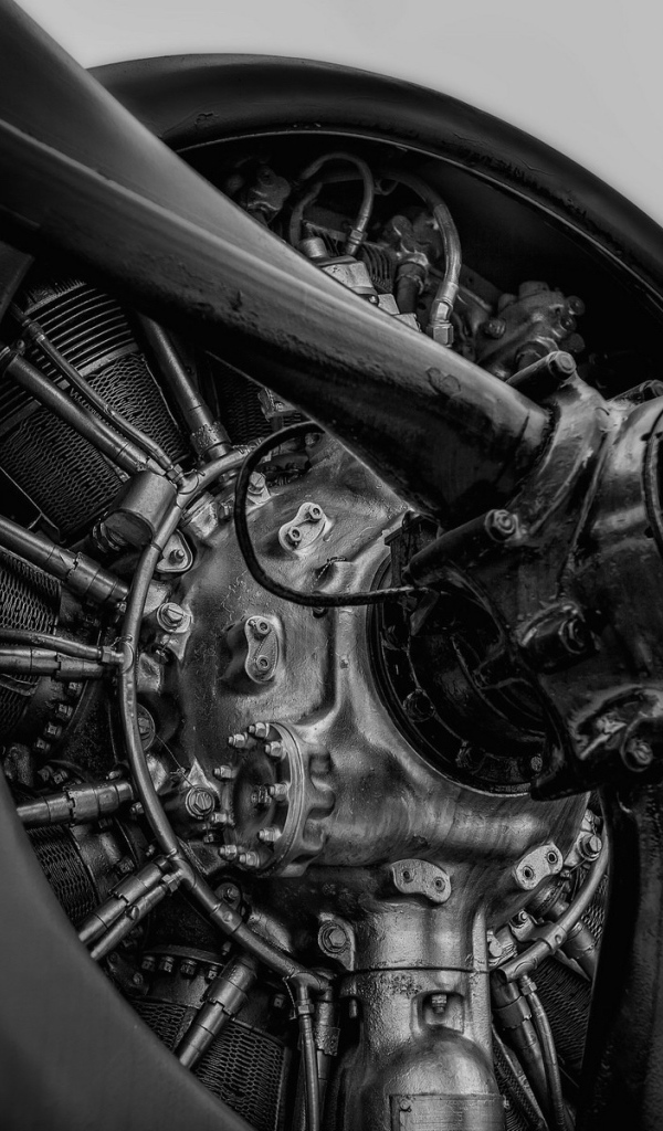 Винт и двигатель старого самолета