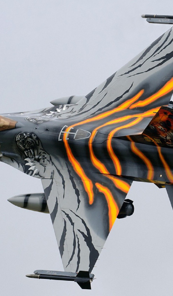 Тигровая раскраска самолета F-16