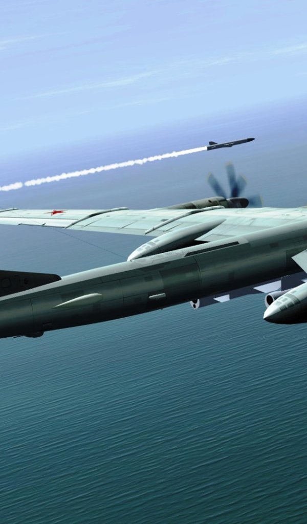 Самолет Ту 95