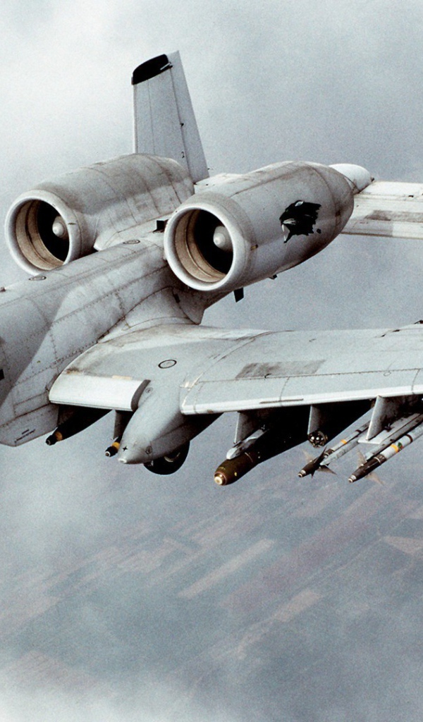 Истребитель американских ВВС