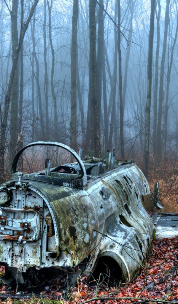 Обломки самолета в лесу