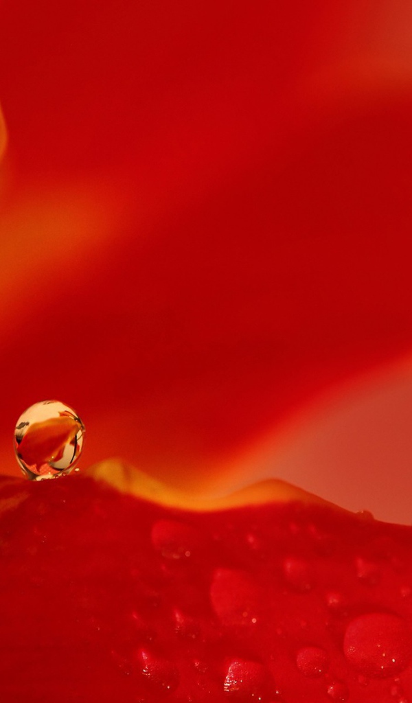 Капля воды на красном фоне