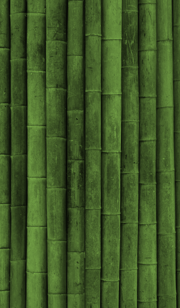 Фон зеленый бамбук
