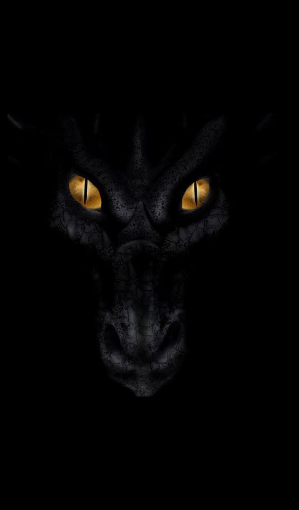 Черный дракон смотрит из тьмы