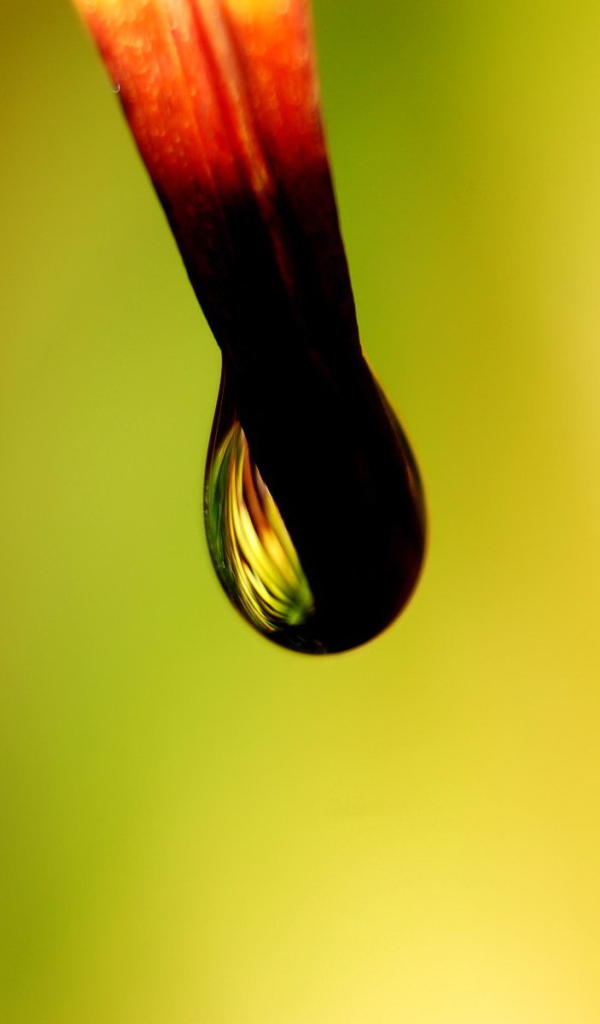 Черная капля