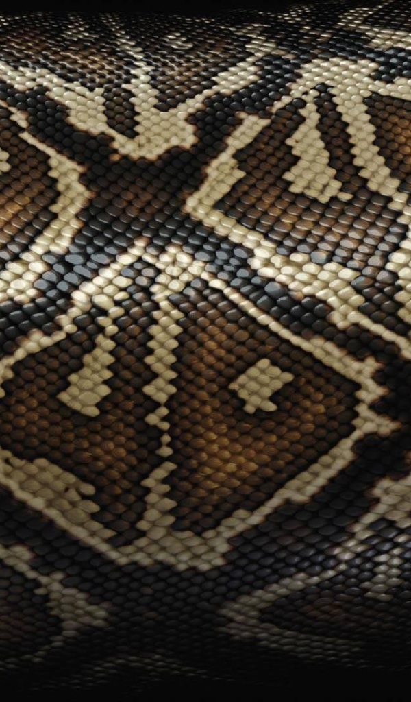 Кожа коричневой змеи, фон