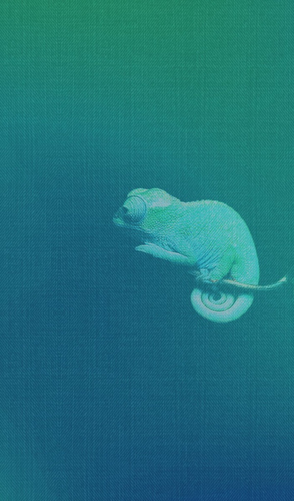 Хамелеон, синий фон Убунту