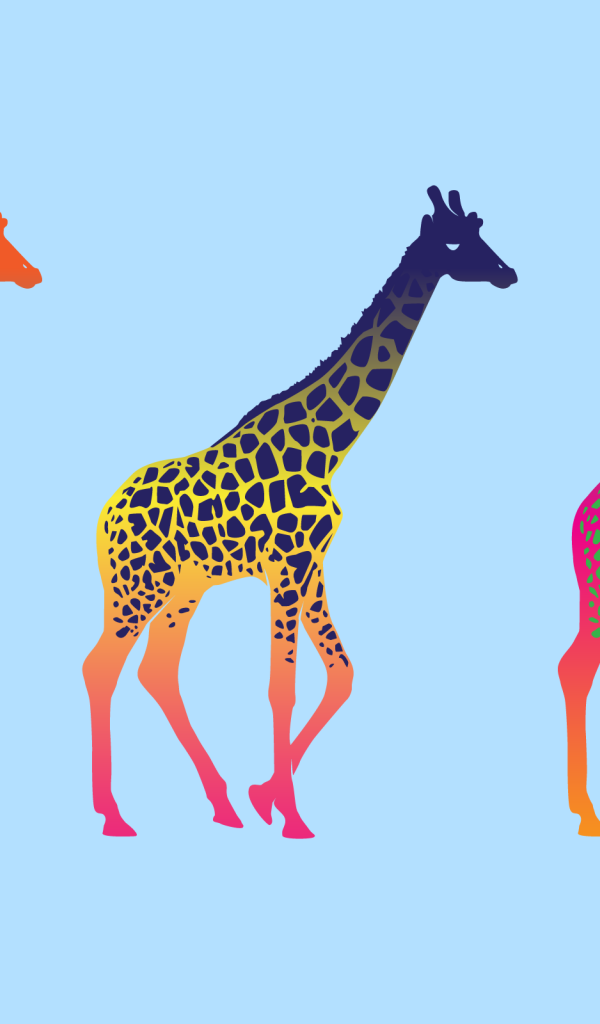 Красочные жирафы, голубой фон