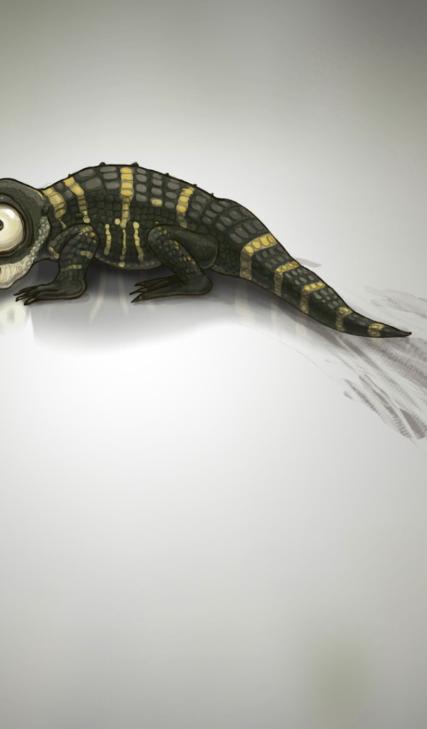 Крокодил оставил след на сером фоне