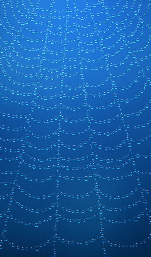 Роса на паутине, голубой фон