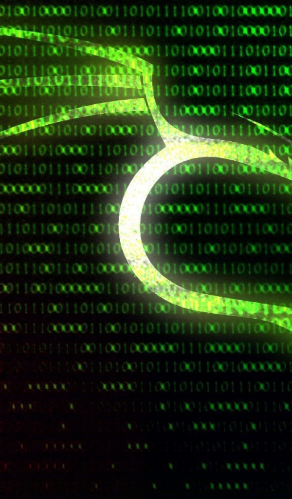 Цифровой фон Kali Linux
