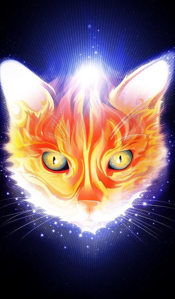 Огненная мордочка кота, черный фон