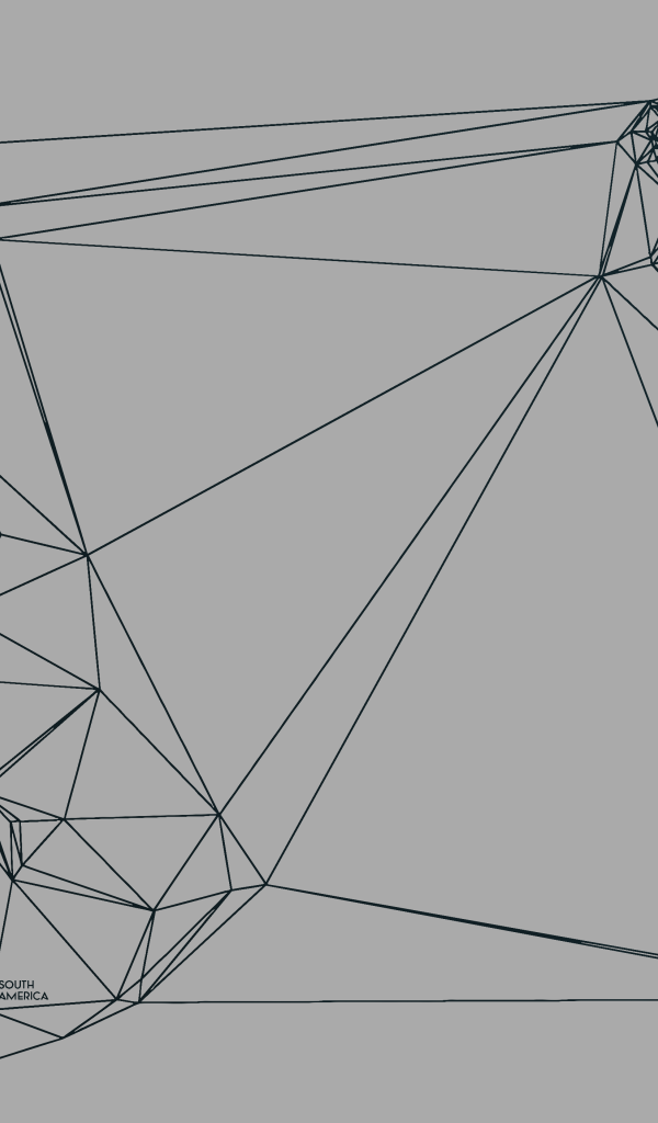 Геометрическая карта мира Nicholas Felton, серый фон