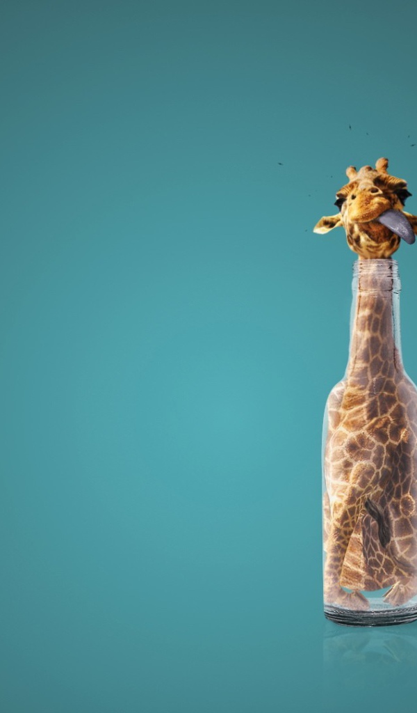 Жираф в бутылке
