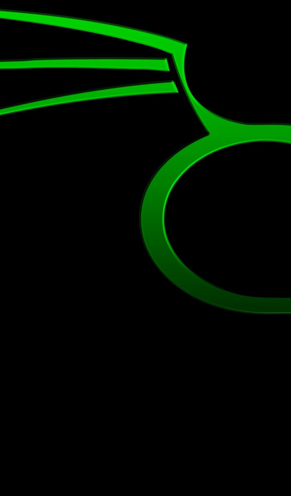 Зеленый дракон на черном фоне Kali Linux