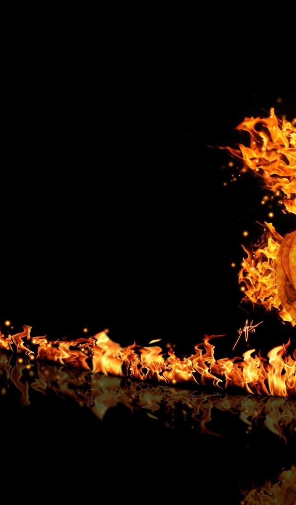 Конь из огня, черный фон