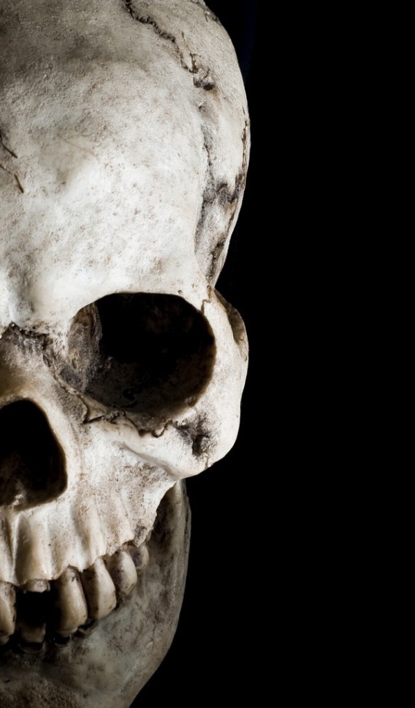 Череп человека на черном фоне